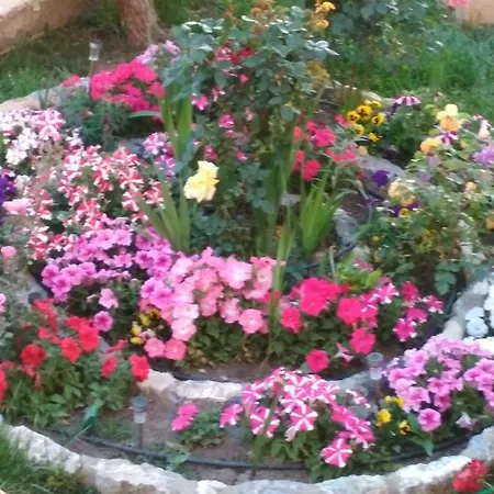 τakis House * Asfendiou